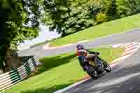 cadwell-no-limits-trackday;cadwell-park;cadwell-park-photographs;cadwell-trackday-photographs;enduro-digital-images;event-digital-images;eventdigitalimages;no-limits-trackdays;peter-wileman-photography;racing-digital-images;trackday-digital-images;trackday-photos